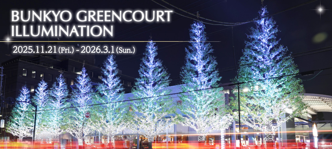 2025_illumination_banner_1110-500